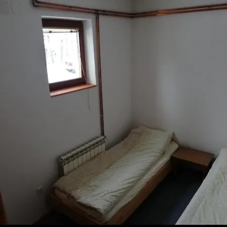 Mountain Flower Jahorina