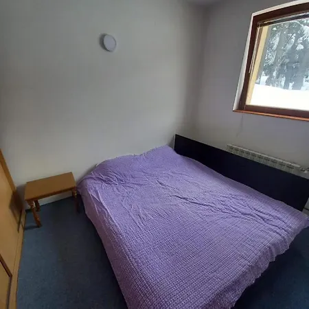 Mountain Flower ヤホリナ