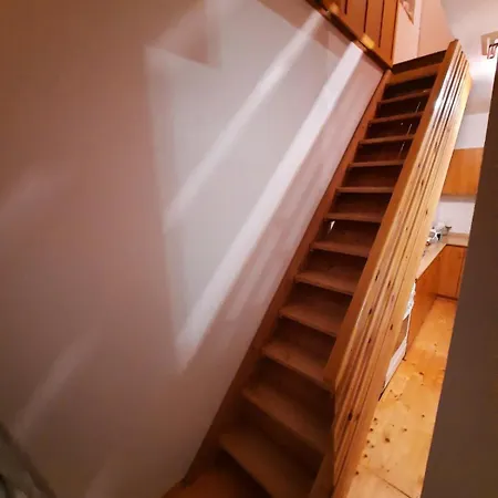 Mountain Flower Jahorina